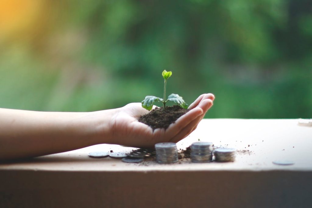 Accompagnement des Dirigeants A hand cradles a young plant above coins, symbolizing financial growth and sustainability.